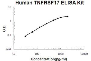 ELISA image for Tumor Necrosis Factor Receptor Superfamily, Member 17 (TNFRSF17) ELISA Kit (ABIN6720148)