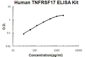 Human TNFRSF17/BCMA Accusignal ELISA Kit Human TNFRSF17/BCMA AccuSignal ELISA Kit standard curve. (BCMA ELISA 试剂盒)