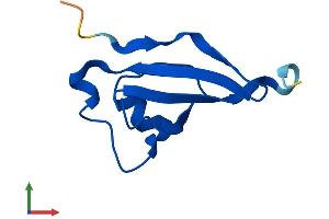 Protein Structure (PS) image for Cyclin-dependent kinases regulatory subunit 2 (CKS2) (AA 1-79) protein (Fc Tag) (ABIN7546555)