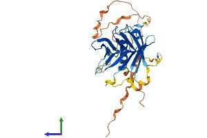 Protein Structure (PS) image for phospholipid Scramblase 3 (PLSCR3) (AA 1-296) protein (His tag) (ABIN7561564)