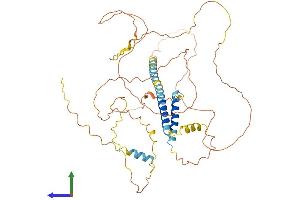 AlphaFold protein structure predicition of Human Recombinant TMEM200A Protein, UniprotID Q86VY9