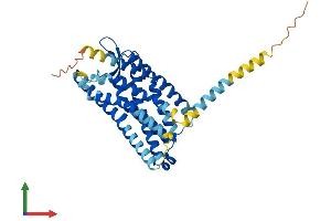 AlphaFold protein structure predicition of Mouse Recombinant Fpr-s1 Protein, UniprotID O08790 (FPR3 Protein (AA 1-351) (His tag))