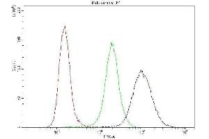 Flow Cytometry analysis of THP-1 cells using anti-CCNB1 antibody (ABIN3043482). (Cyclin B1 抗体  (AA 1-433))