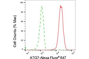 Flow cytometric analysis of ATG7 expression in HepG2 cells using ATG7 antibody (ABIN7797675), 1:2,000). (Recombinant ATG7 抗体)