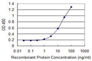 Detection limit for recombinant GST tagged MUC1 is 0. (MUC1 抗体  (AA 315-420))