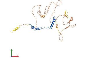 AlphaFold protein structure predicition of Mouse Recombinant Nfya Protein, UniprotID P23708