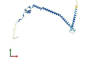 Protein Structure (PS) image for Growth Arrest and DNA-Damage-Inducible, gamma Interacting Protein 1 (GADD45GIP1) (AA 1-222) protein (His tag) (ABIN7560613)