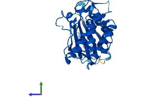 Protein Structure (PS) image for Testis-Specific Serine Kinase 6 (TSSK6) (AA 1-273) protein (His tag) (ABIN7560282)
