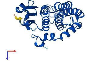 GSTZ1 Protein (AA 1-216) (His tag)