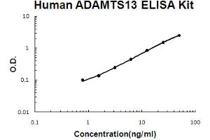 ELISA image for ADAM Metallopeptidase with Thrombospondin Type 1 Motif, 13 (ADAMTS13) ELISA Kit (ABIN6719981)