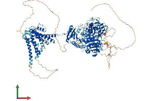 Protein Structure (PS) image for Potassium Large Conductance Calcium-Activated Channel, Subfamily M, alpha Member 1 (KCNMA1) (AA 1-1209) protein (His tag) (ABIN7563611)
