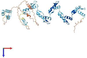 AlphaFold protein structure predicition of Human Recombinant ZNF682 Protein, UniprotID O95780