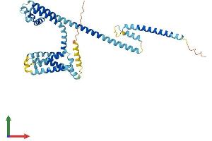 AlphaFold protein structure predicition of Mouse Recombinant Catsper3 Protein, UniprotID Q80W99