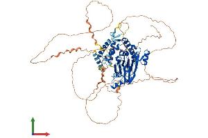 AlphaFold protein structure predicition of Mouse Recombinant Ppm1e Protein, UniprotID Q80TL0 (PPM1E Protein (AA 1-749) (His tag))