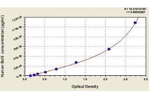 Typical standard curve (BCL6 ELISA 试剂盒)