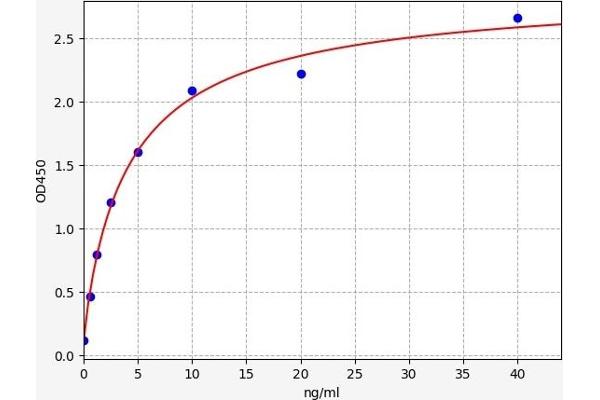 PDXP ELISA 试剂盒