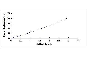 Typical standard curve (EGLN1 ELISA 试剂盒)