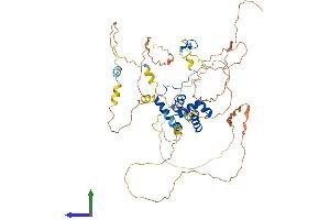 Protein Structure (PS) image for Mesoderm Induction Early Response 1, Family Member 2 (MIER2) (AA 1-541) protein (His tag) (ABIN7557143)