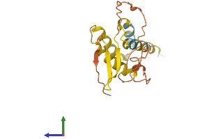 AlphaFold protein structure predicition of Human Recombinant FAM86C2P Protein, UniprotID A6NEL3