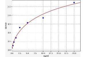 Typical standard curve (ATP2A1/SERCA1 ELISA 试剂盒)