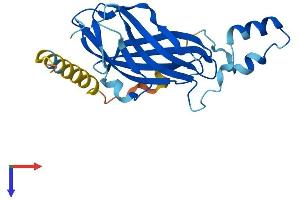 ARHGDIG Protein (AA 1-225) (His tag)