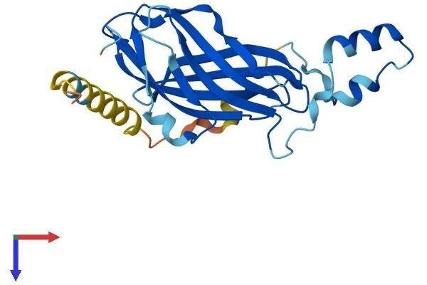 ARHGDIG Protein (AA 1-225) (His tag)