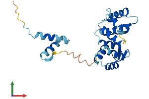 Protein Structure (PS) image for Rhophilin Associated Tail Protein 1 (ROPN1) (AA 1-212) protein (His tag) (ABIN7551540)