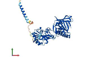Protein Structure (PS) image for Fukutin (FKTN) (AA 1-461) protein (His tag) (ABIN7553931)
