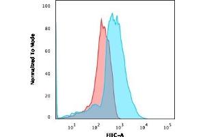 Flow Cytometric Analysis of PFA-fixed HEK293 cells using CD137L-Monospecific Mouse Monoclonal Antibody (CD137L/1547) followed by goat anti-Mouse IgG-CF488 (Blue); Isotype Control (Red). (TNFSF9 抗体)