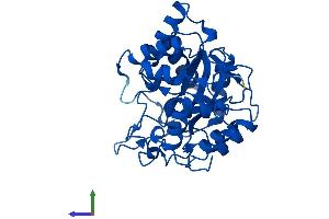 Protein Structure (PS) image for Aldo-Keto Reductase Family 1, Member D1 (AKR1D1) (AA 1-325) protein (His tag) (ABIN7559835)