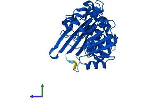Protein Structure (PS) image for Crystallin, mu (CRYM) (AA 1-313) protein (His tag) (ABIN7562461)