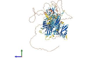 Protein Structure (PS) image for Inturned Planar Cell Polarity Effector Homolog (INTU) (AA 1-942) protein (His tag) (ABIN7563599)