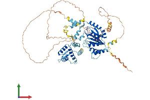 Protein Structure (PS) image for Origin Recognition Complex Subunit 2 (ORC2) (AA 1-576) protein (His tag) (ABIN7557628)
