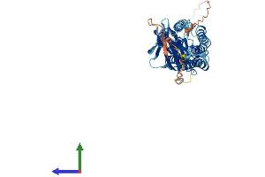AlphaFold protein structure predicition of Mouse Recombinant Tmem8b Protein, UniprotID B1AWJ5