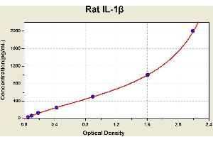 Diagramm of the ELISA kit to detect Rat 1 L-1betawith the optical density on the x-axis and the concentration on the y-axis. (IL-1 beta ELISA 试剂盒)
