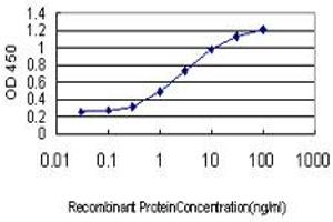 Detection limit for recombinant GST tagged ZHX1 is approximately 0. (ZHX1 抗体  (AA 731-829))