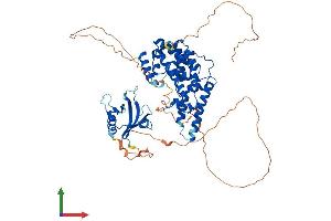 AlphaFold protein structure predicition of Mouse Recombinant Ralgps1 Protein, UniprotID A2AR50