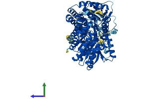 Protein Structure (PS) image for Aldehyde Dehydrogenase 16 Family, Member A1 (ALDH16A1) (AA 1-802) protein (His tag) (ABIN7551914)