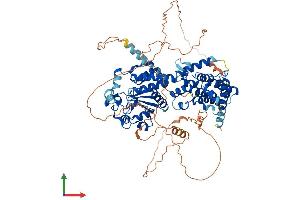 Protein Structure (PS) image for Protein Tyrosine Phosphatase Domain Containing 1 (PTPDC1) (AA 1-747) protein (His tag) (ABIN7557975)