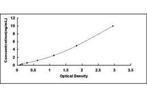 Typical standard curve (TRKB ELISA 试剂盒)