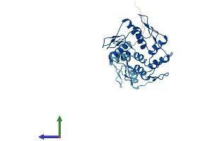 Protein Structure (PS) image for Zinc Finger Protein 146 (ZNF146) (AA 1-292) protein (His tag) (ABIN7558819)