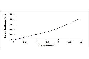 Typical standard curve (PRB2 ELISA 试剂盒)