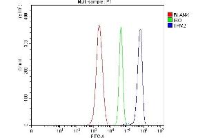 Flow Cytometry analysis of ANA-1 cells using anti-Tropomyosin 2/TPM2 antibody (ABIN7603245).
