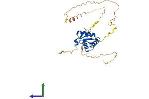 Protein Structure (PS) image for Spleen Focus Forming Virus (SFFV) Proviral Integration Oncogene Spi1 (SPI1) (AA 1-270) protein (His tag) (ABIN7546383)