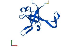 Protein Structure (PS) image for Ribosomal Protein L35a (RPL35A) (AA 1-110) protein (His tag) (ABIN7551436)