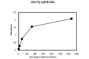 ELISA image for Anti-Tg IgG Antibody ELISA Kit (ABIN1305176) (Anti-Tg IgG Antibody ELISA 试剂盒)
