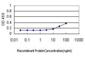 Detection limit for recombinant GST tagged FASLG is approximately 3ng/ml as a capture antibody. (FASL 抗体  (AA 172-281))