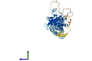 Protein Structure (PS) image for Ganglioside-Induced Differentiation-Associated-Protein 2 (GDAP2) (AA 1-498) protein (His tag) (ABIN7561285)