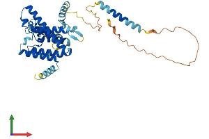 Protein Structure (PS) image for Transmembrane Protein 115 (TMEM115) (AA 1-351) protein (His tag) (ABIN7544512)