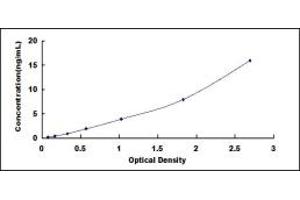 Typical standard curve (ALDOB ELISA 试剂盒)